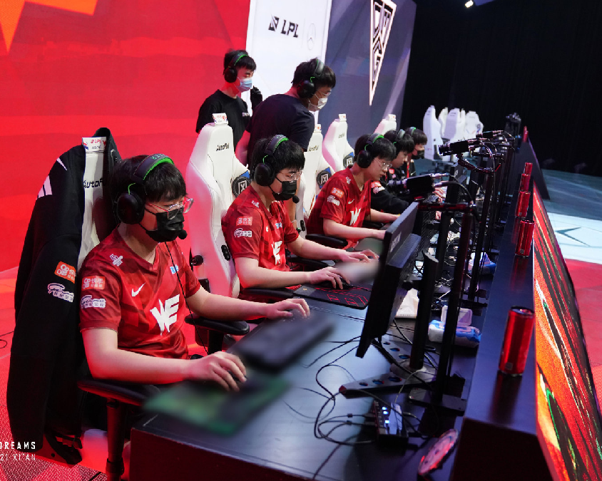 填补了国内 填补了国内