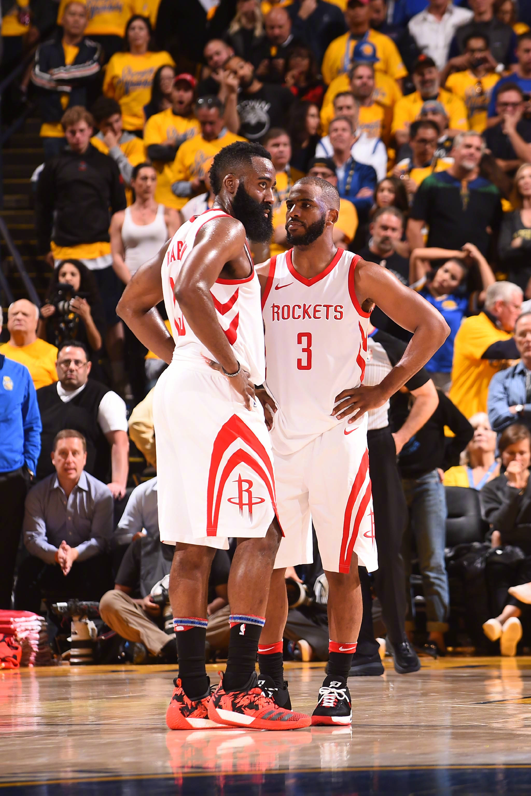 他不仅为自 他不仅为自